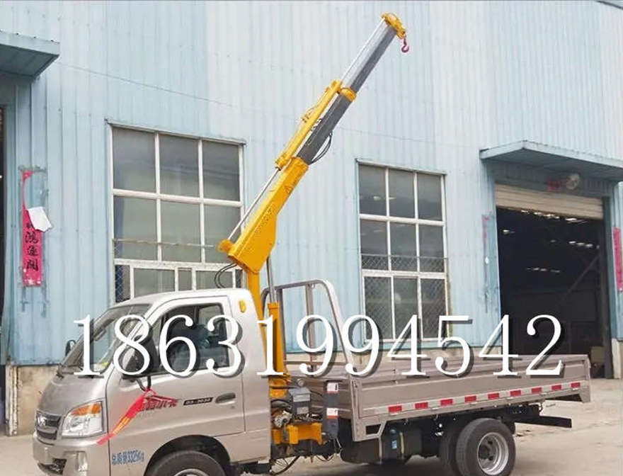 遂宁市车载吊机车载吊机车间价格价格220v移动吊机1吨电动吊机遂宁市伸缩吊